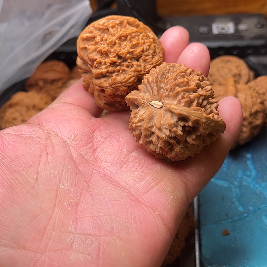 茶***道文玩核桃老树满天星