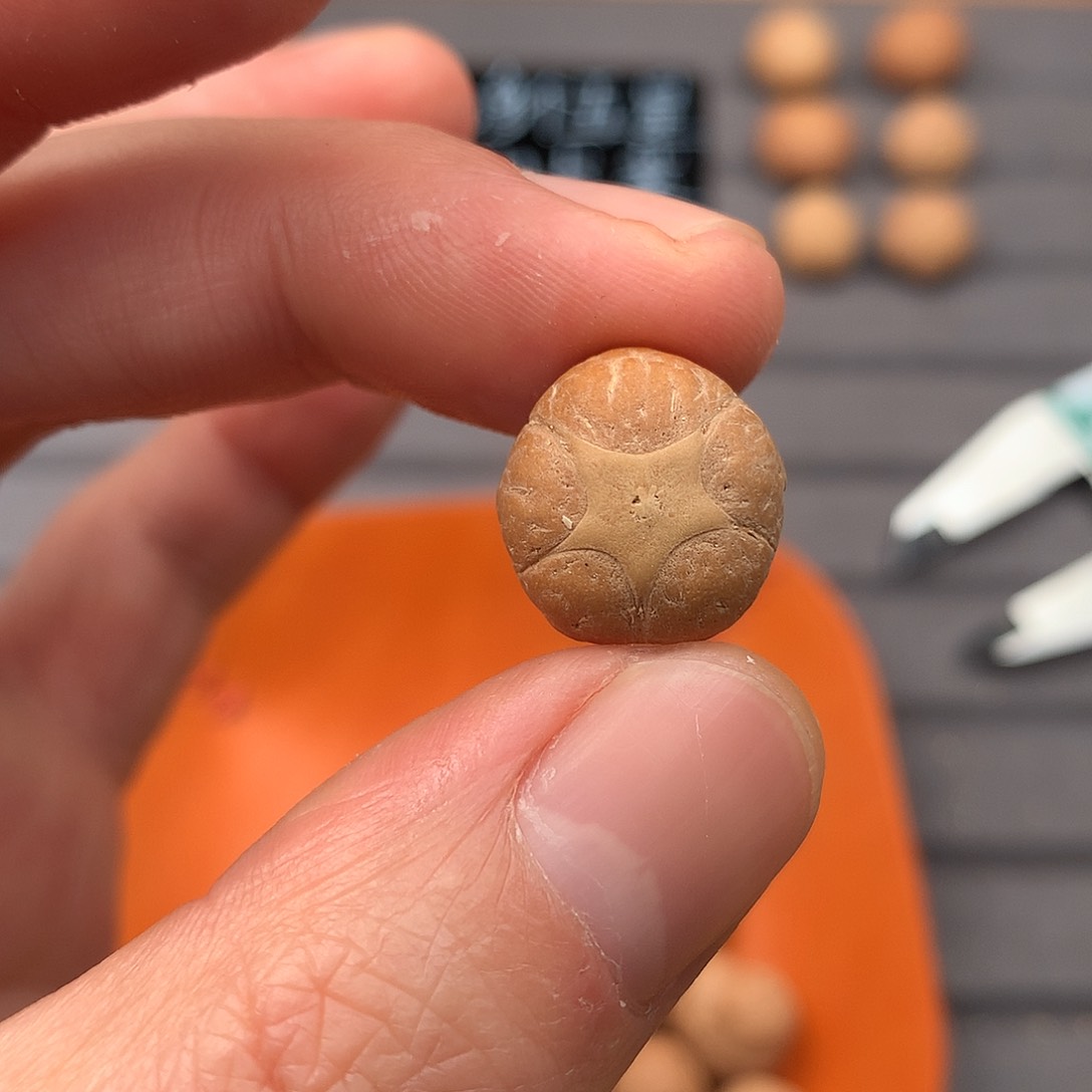 吊坠凤眼菩提15+五星，非质量问题开孔不退