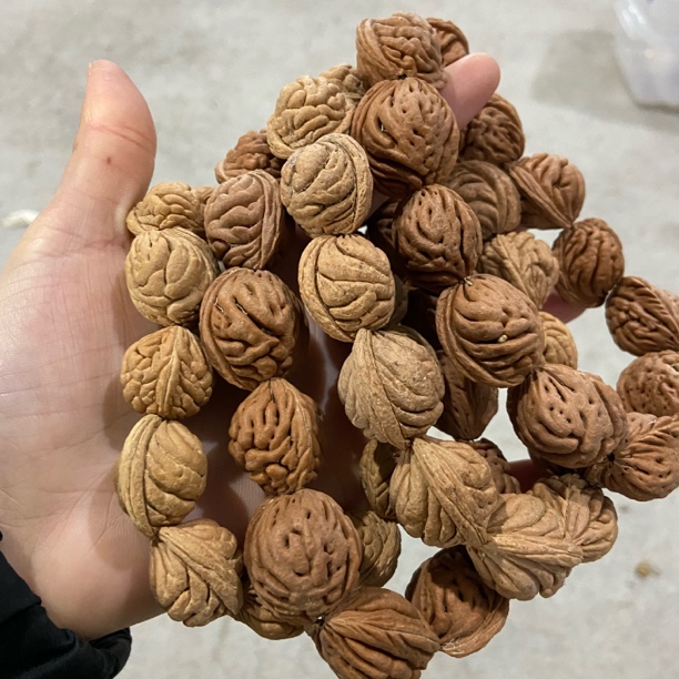 B62龙纹桃核单圈手串（桩型 尺寸颗数 底色多样，发其一）