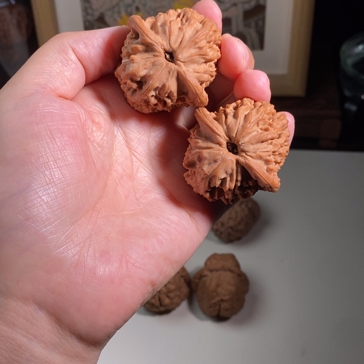 吊坠文玩核桃42全品红狮子