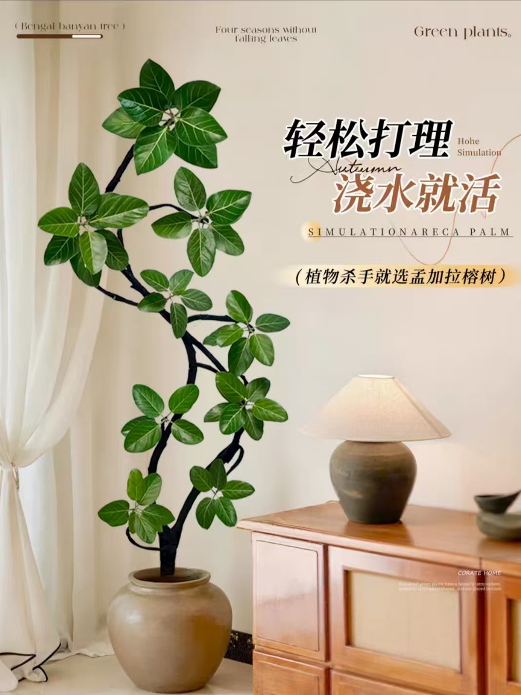 高山榕盆栽大型绿植办公室精华空气吸甲醛