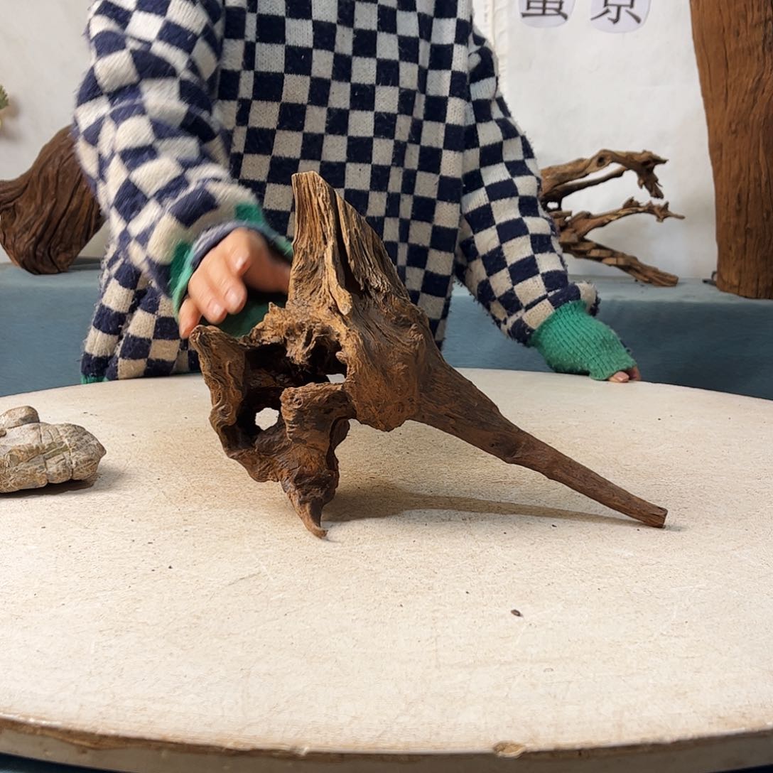 沉木鱼缸造景。。，