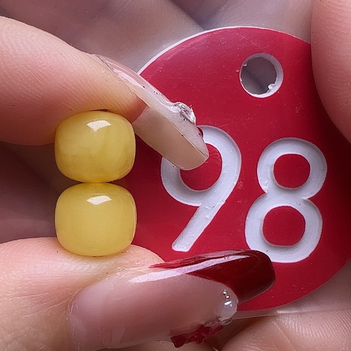 蜜蜡未镶嵌珠宝奇石黄****8.2mm老型