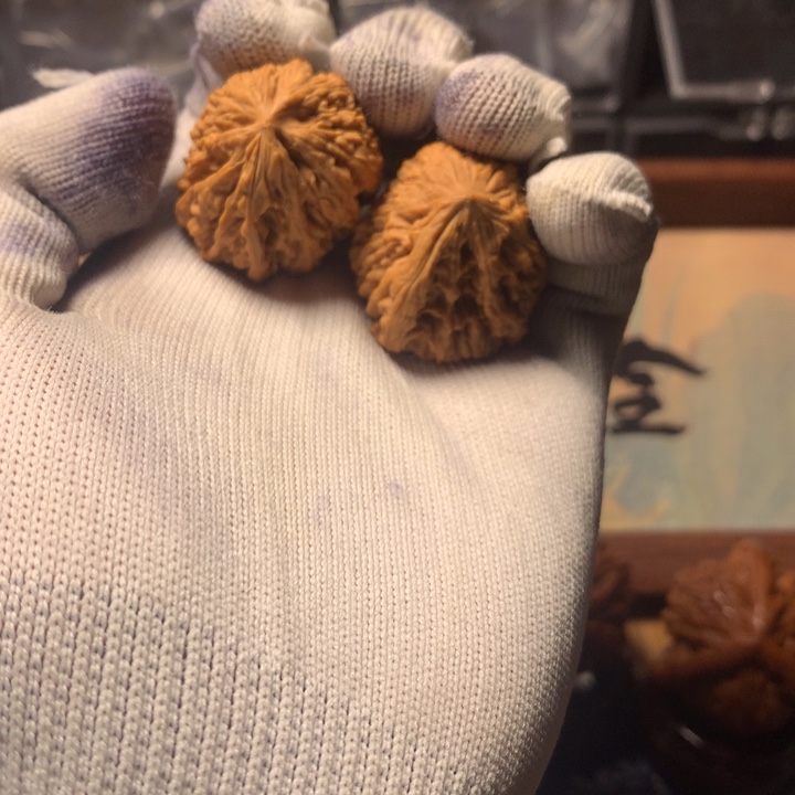 天***秋哈哈哈哈哈哈哈哈哈哥