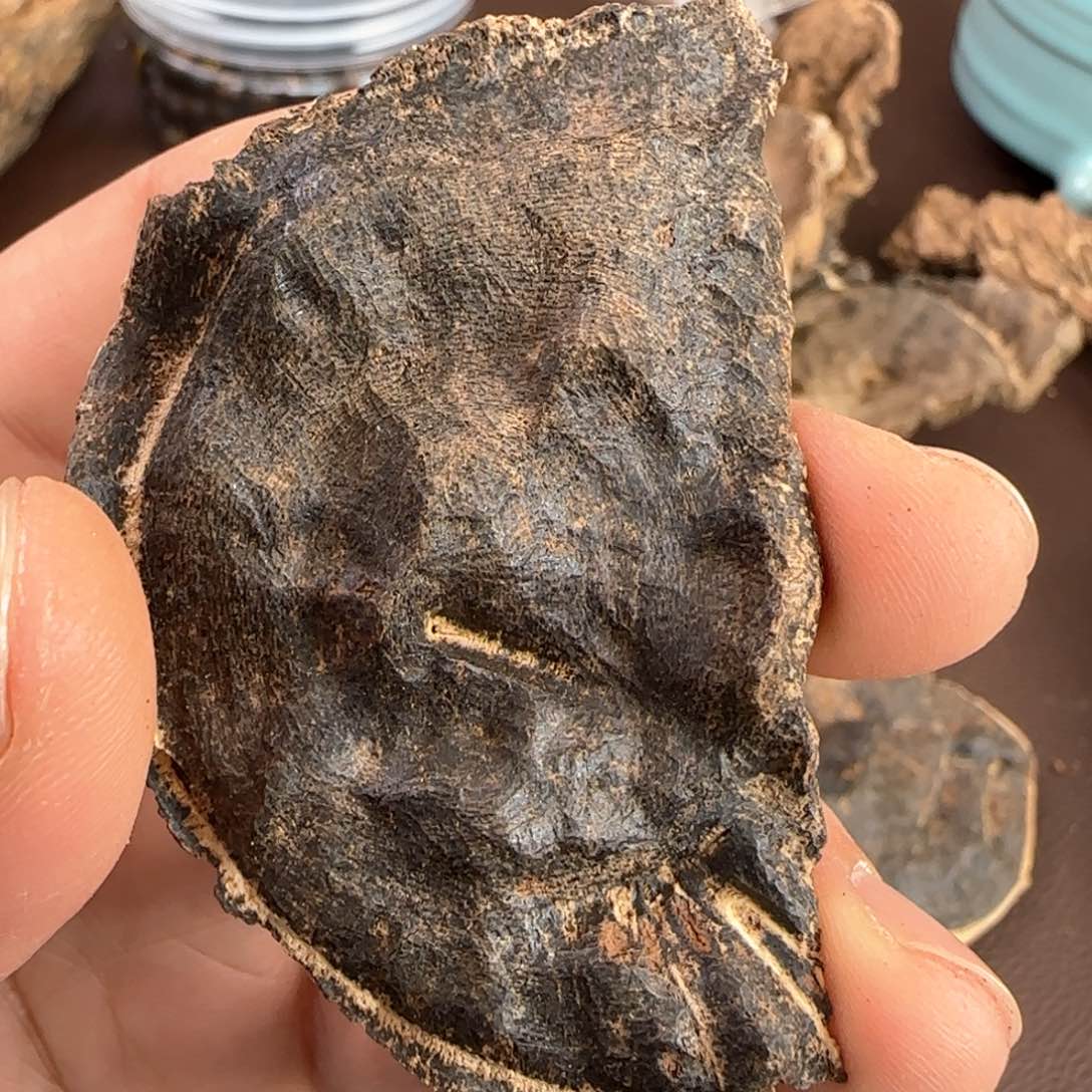 沉香摆件香港沉香老铁头5克