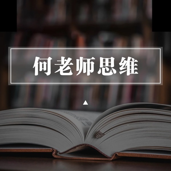 何老师思维直录双体系陪跑