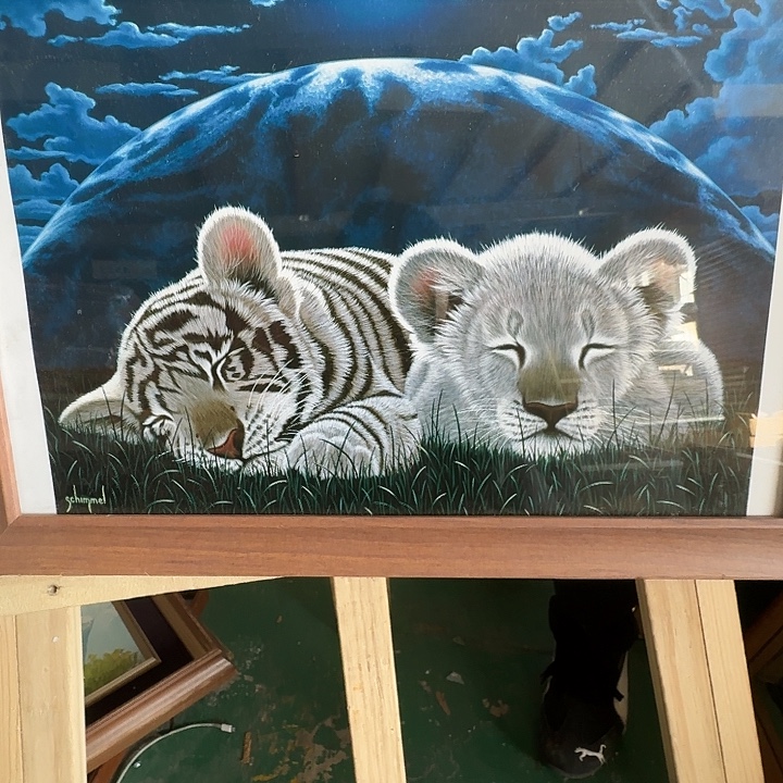 柳***水中古回流带框不包运损有瑕疵拍下