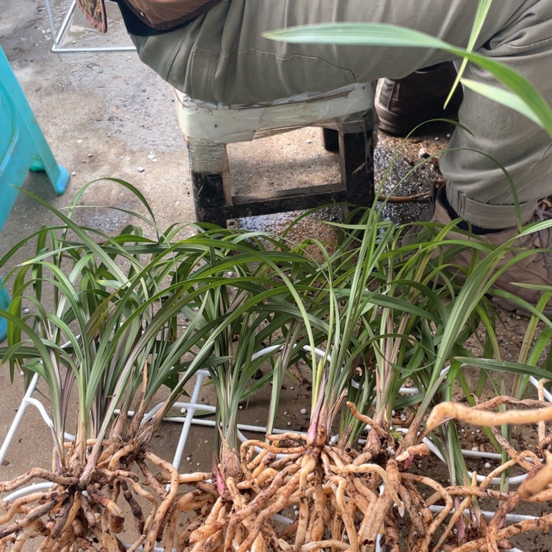 完全开放12345678