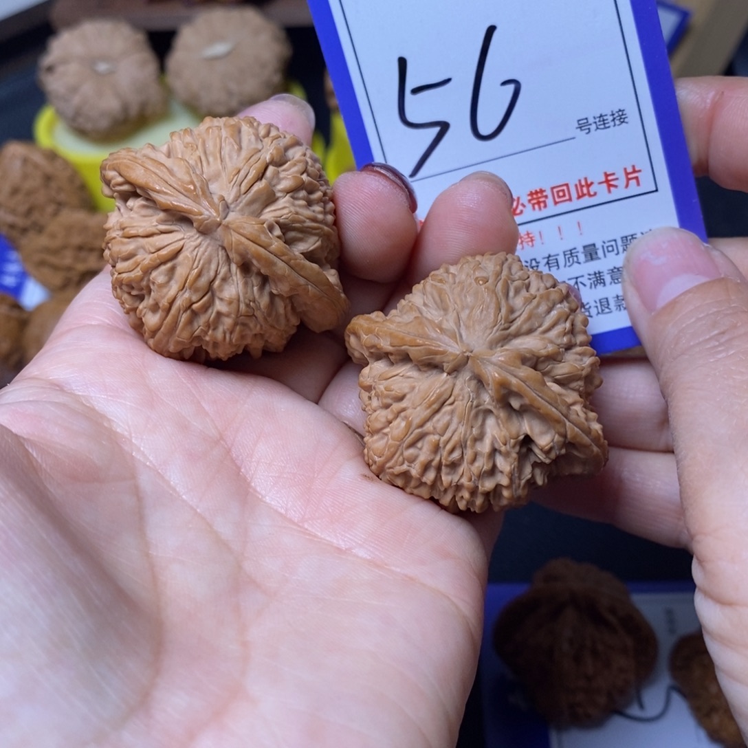 l***梁把件文玩核桃43白狮子56全