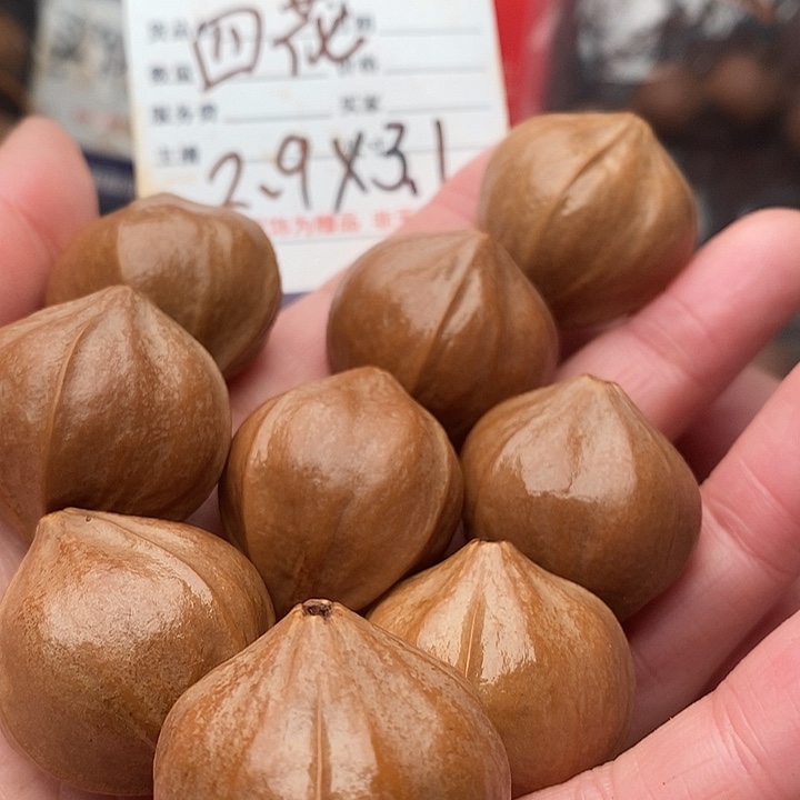 手串/手链橄榄核骑**张