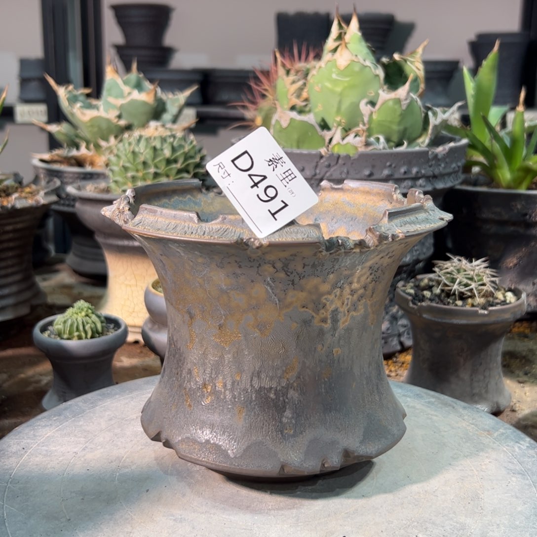 景德镇素里手工内口14.5高13.5