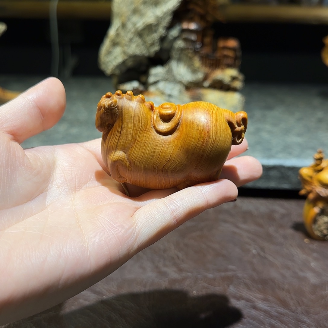 柏木（崖柏）太行集团