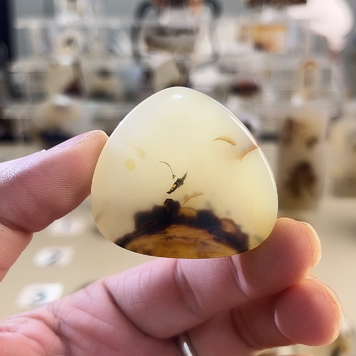 玛瑙/玉髓吊坠(不含链)未镶嵌