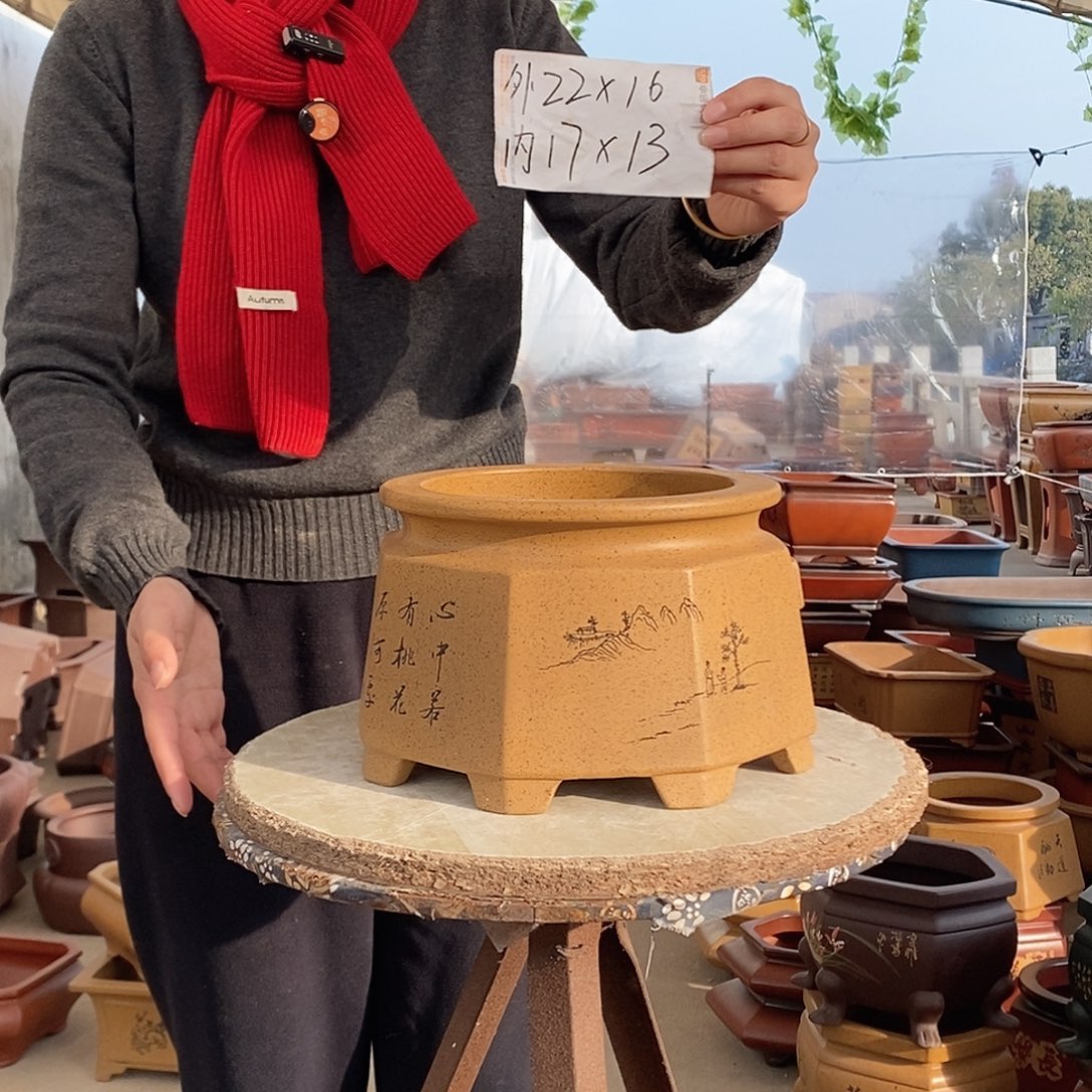 紫砂花盆紫砂花盆