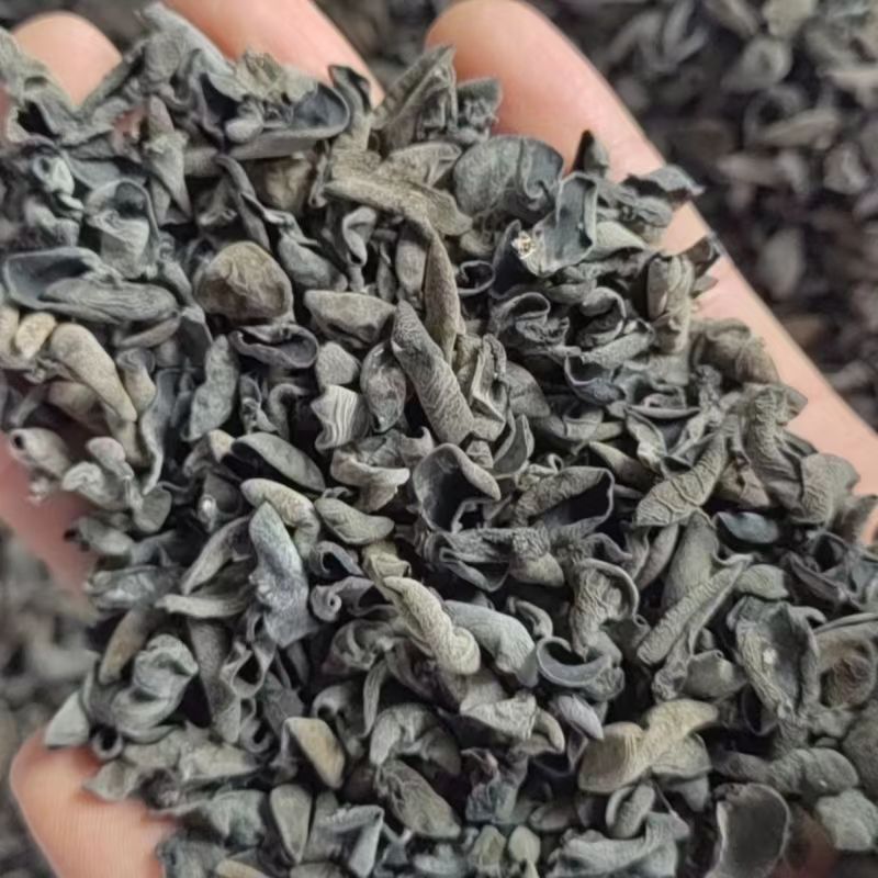 黑木耳干货  厚实无垠 