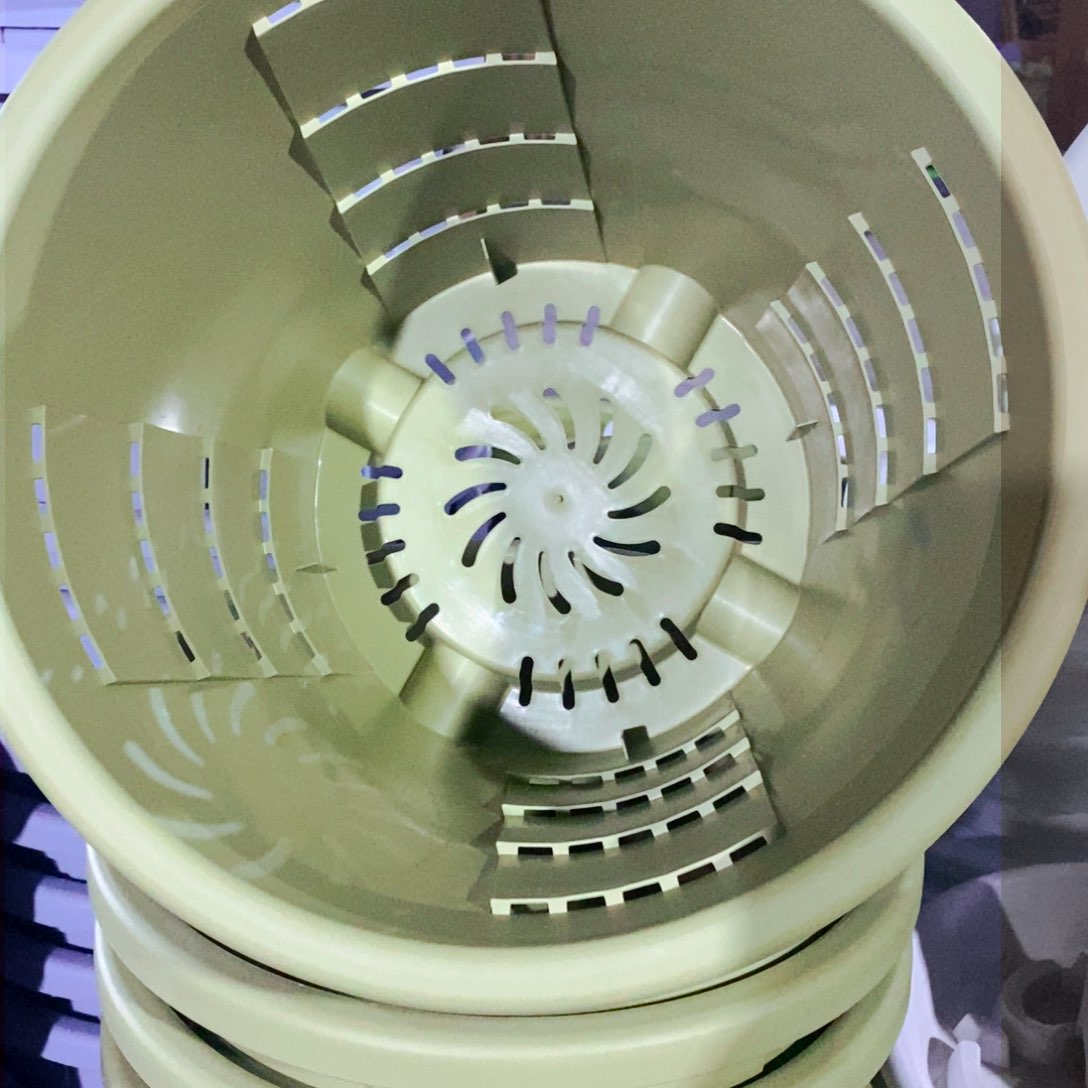 测7号4个无拖果绿