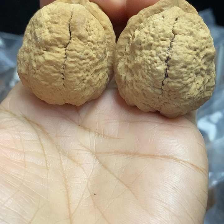 把件文玩核桃云南铁核桃基地21