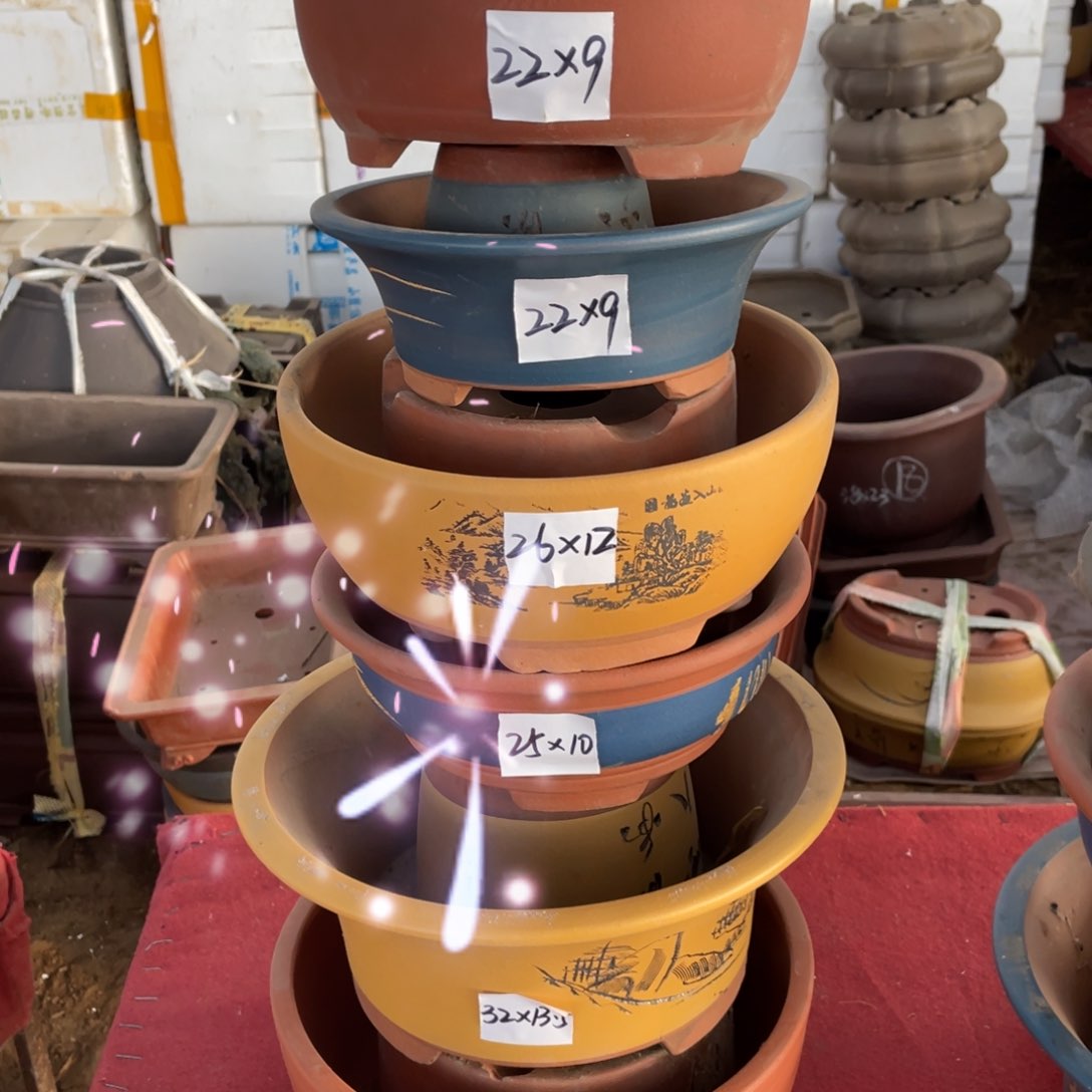 紫砂一号 一组六只