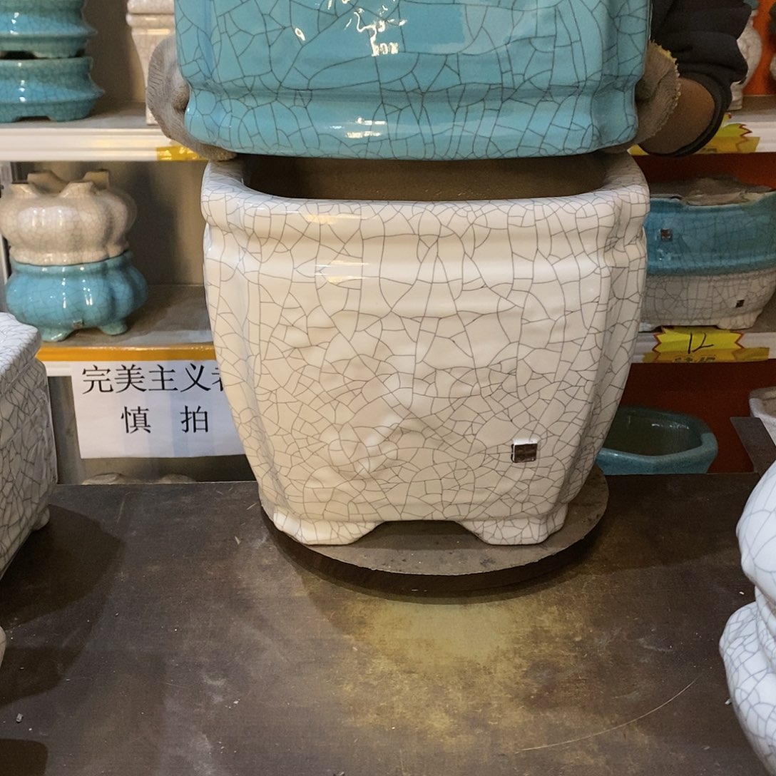 慕*花盆花盆里的花都开