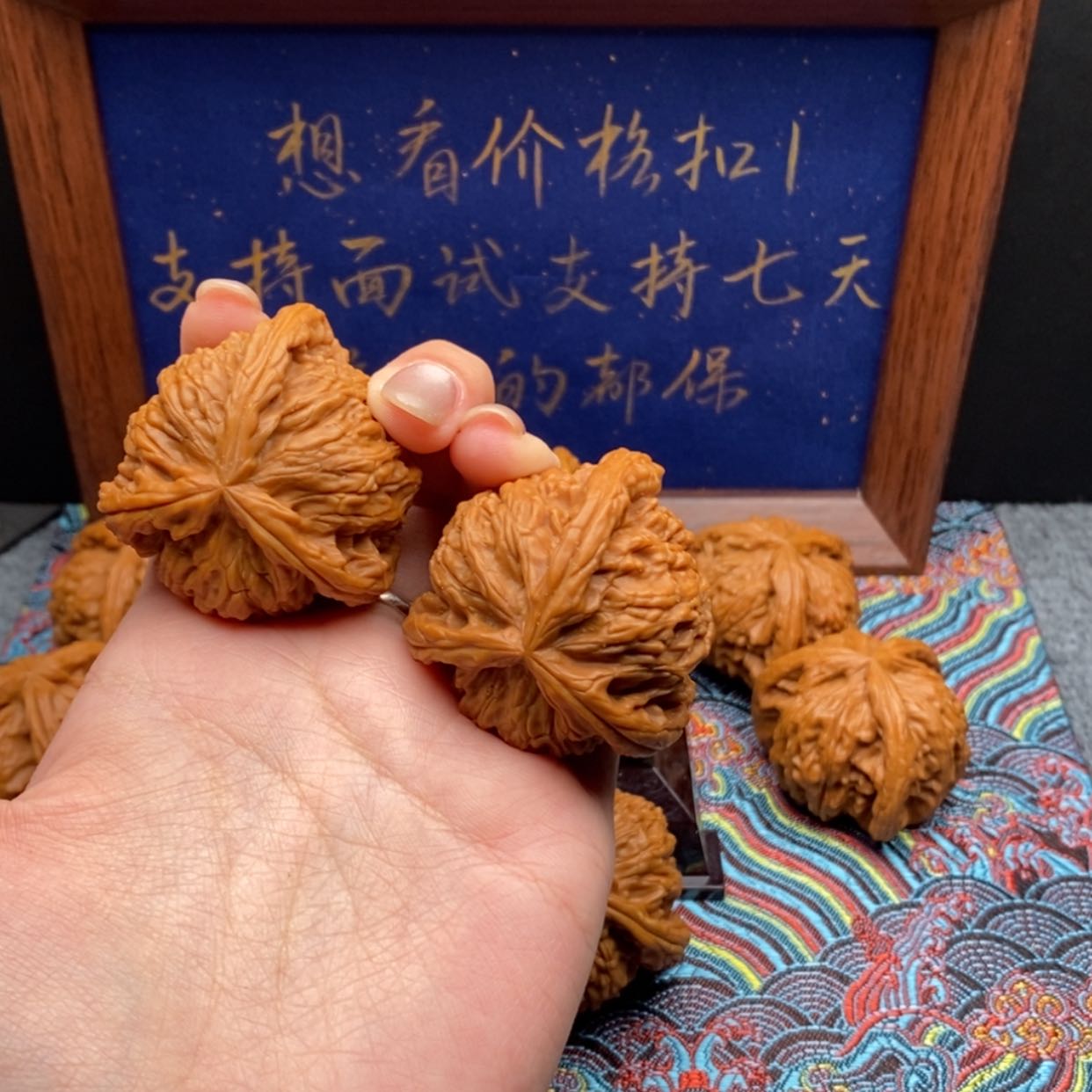 【闪购商品】喜**降白狮