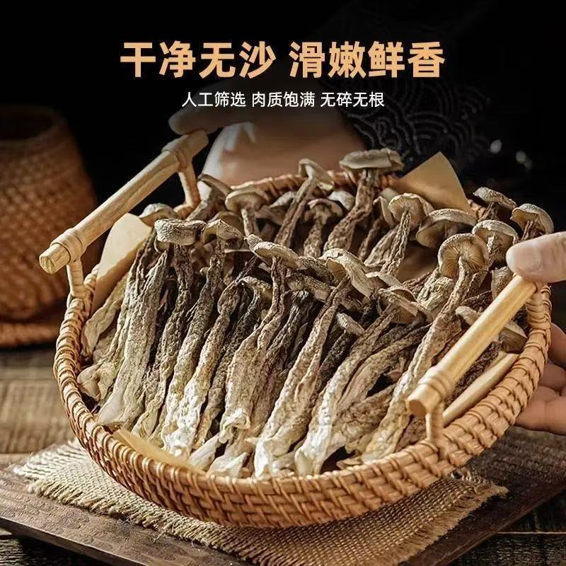 高山甄选鹿茸菇干货无硫熏可炖汤炒菜的农家特产菌菇ZC
