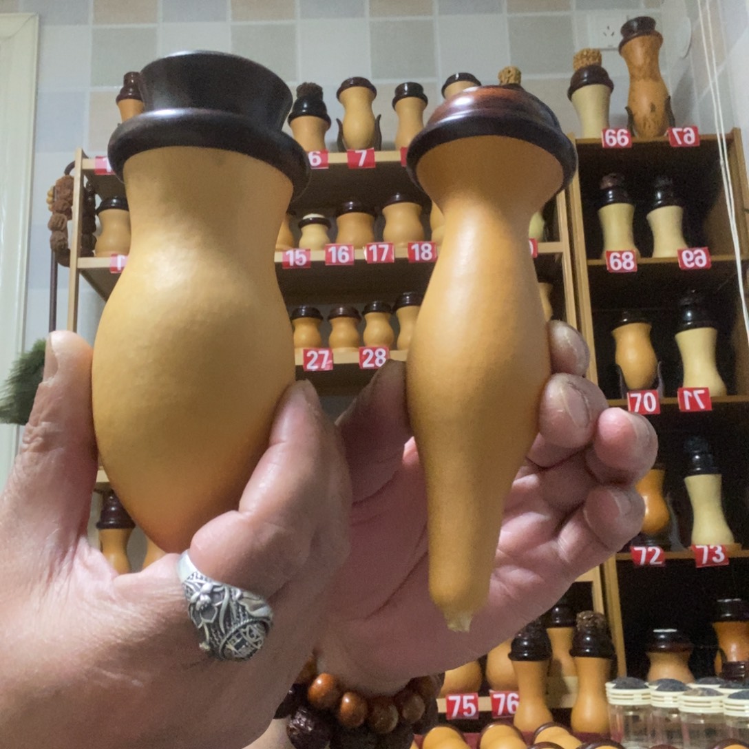 本长蝈蝈竹蛉葫芦