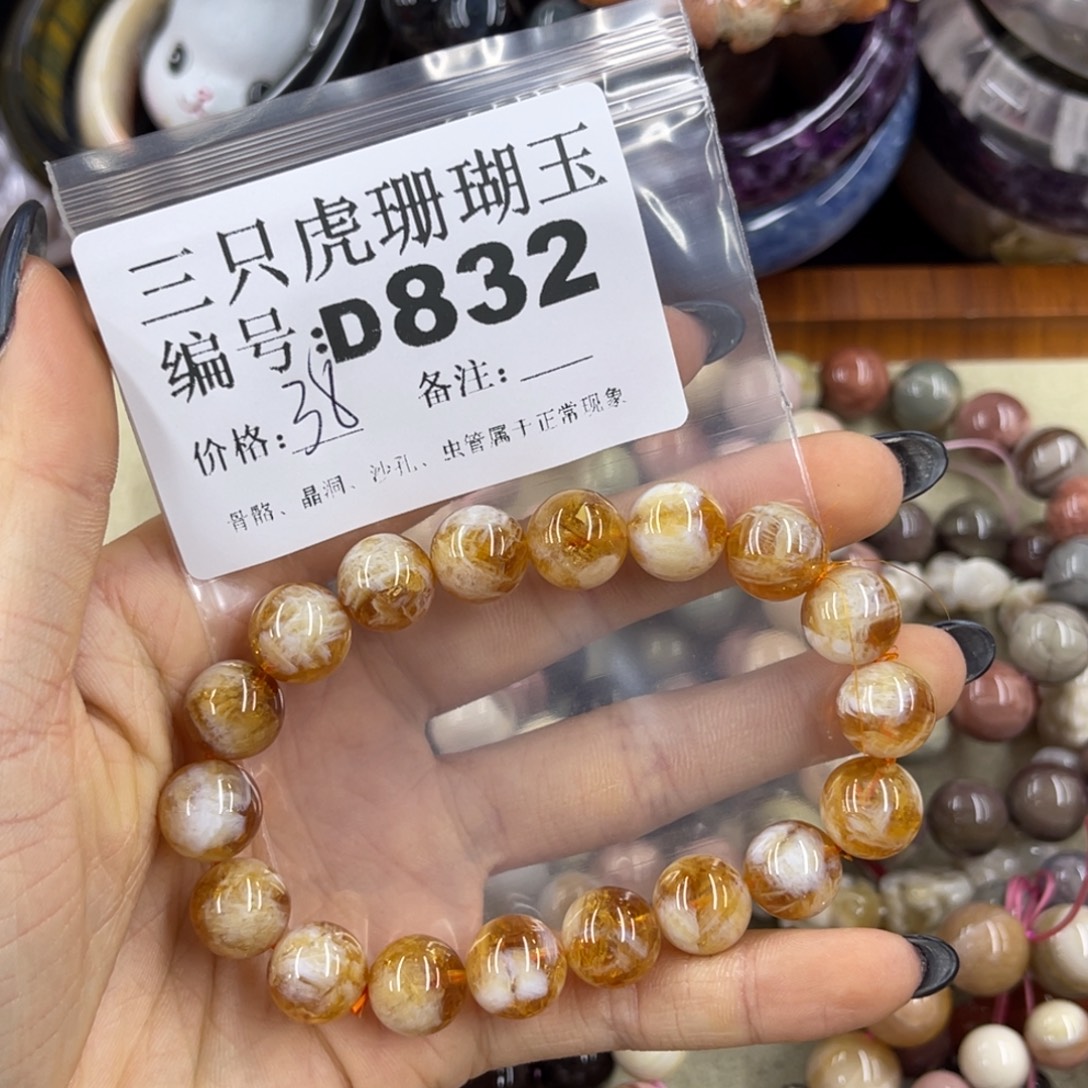 習***妳未镶嵌h硅化珊瑚（珊瑚玉）