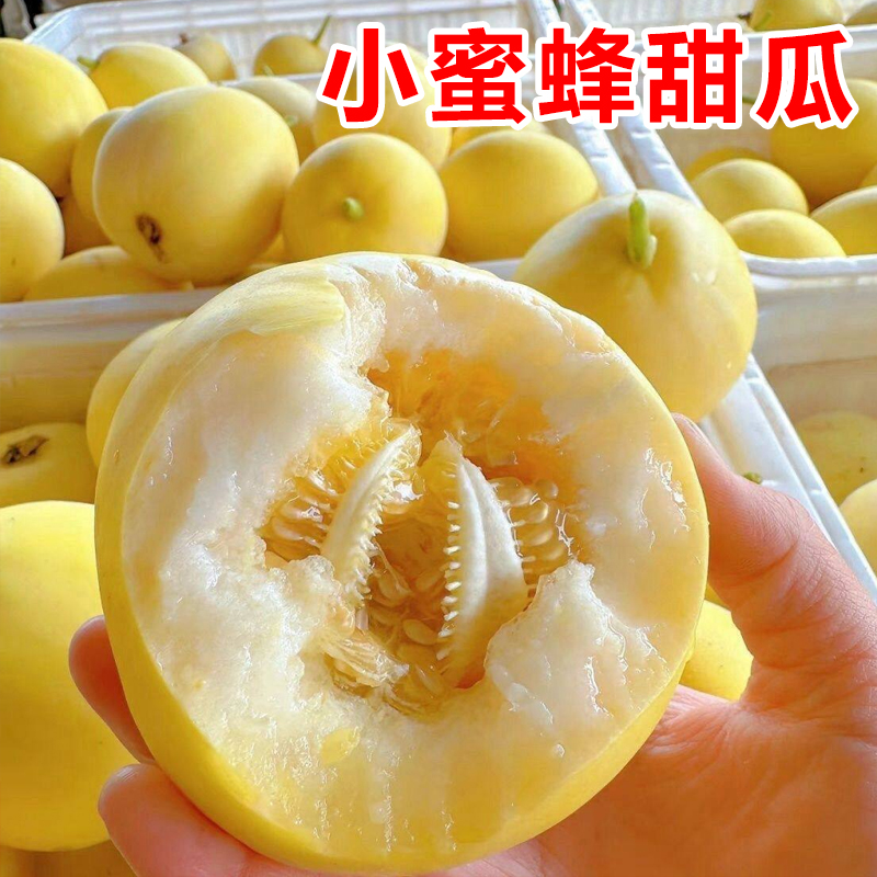 锦口香正宗头茬小蜜蜂甜瓜新鲜应季脆甜多汁当季水果香甜脆爽蜜罐