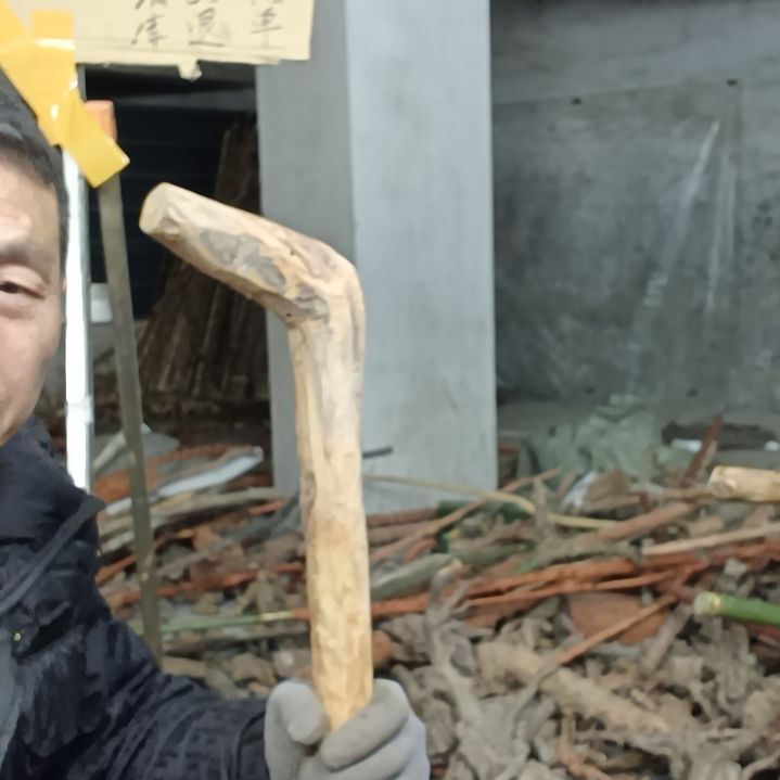 稳定木自***柴贵州檬子木   铁马鞭   根艺  半成品