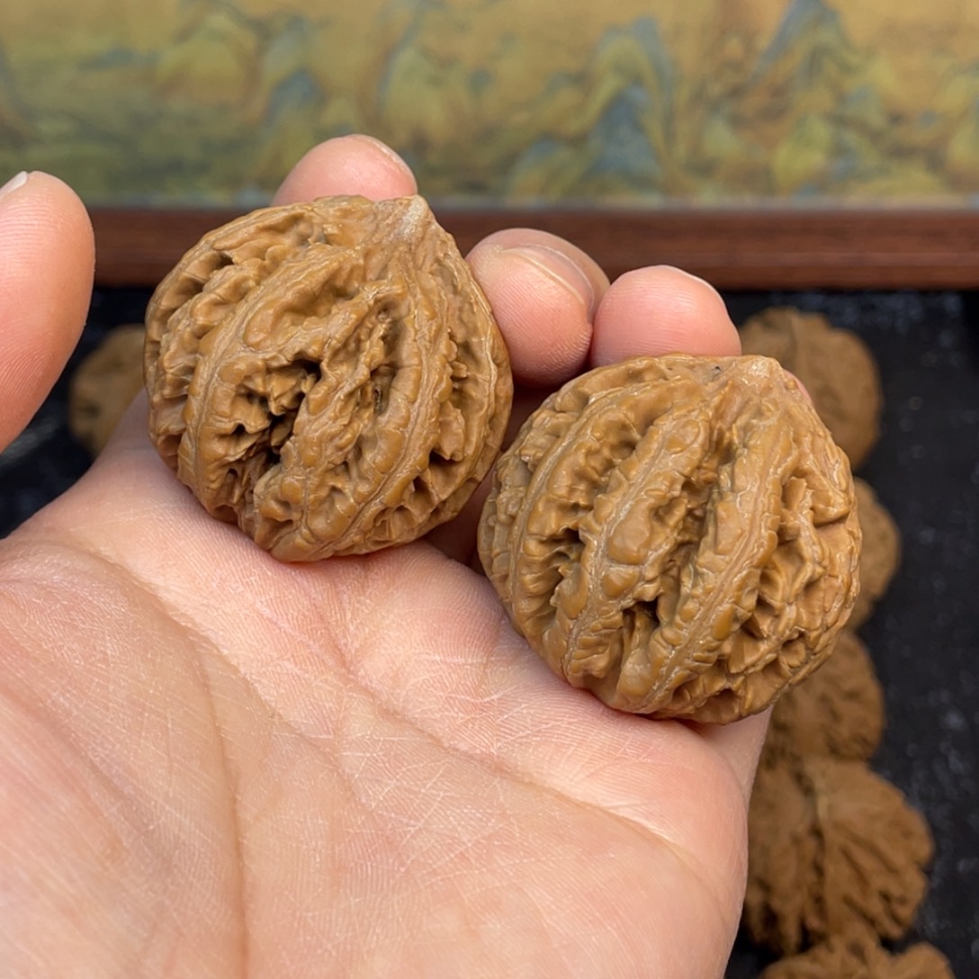 核桃6号链接666666