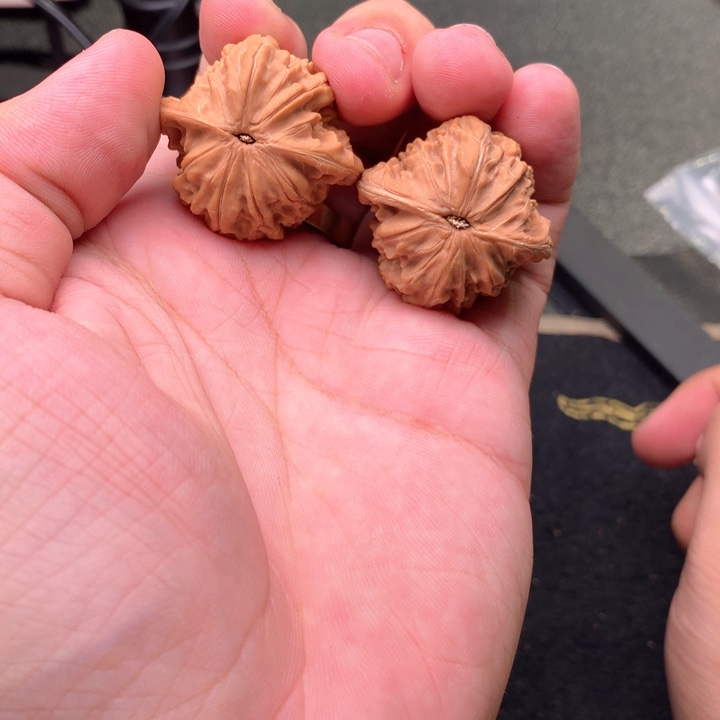 文玩核桃把件41号34全品磨盘