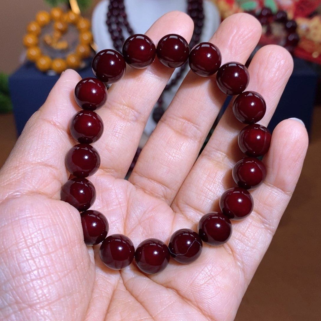 贝壳杉帝王血龙木1.0千年