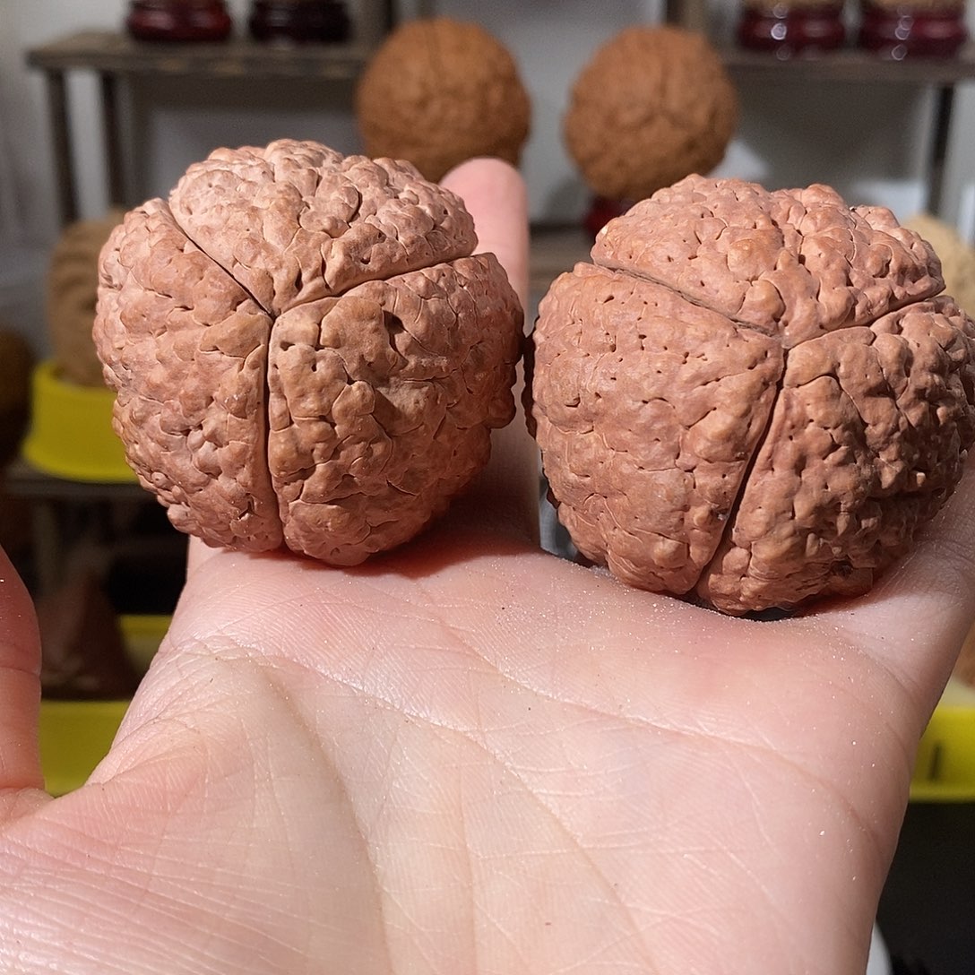 吊坠文玩核桃凤***泪脑纹金刚色练手不退不换不接受中差评50