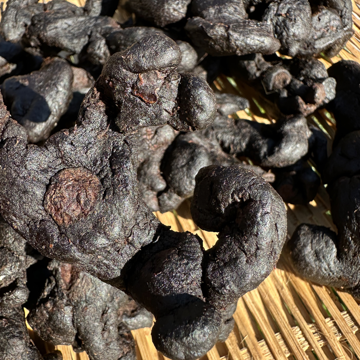 农村山货 柴火 九蒸九晒 黄、米青茶