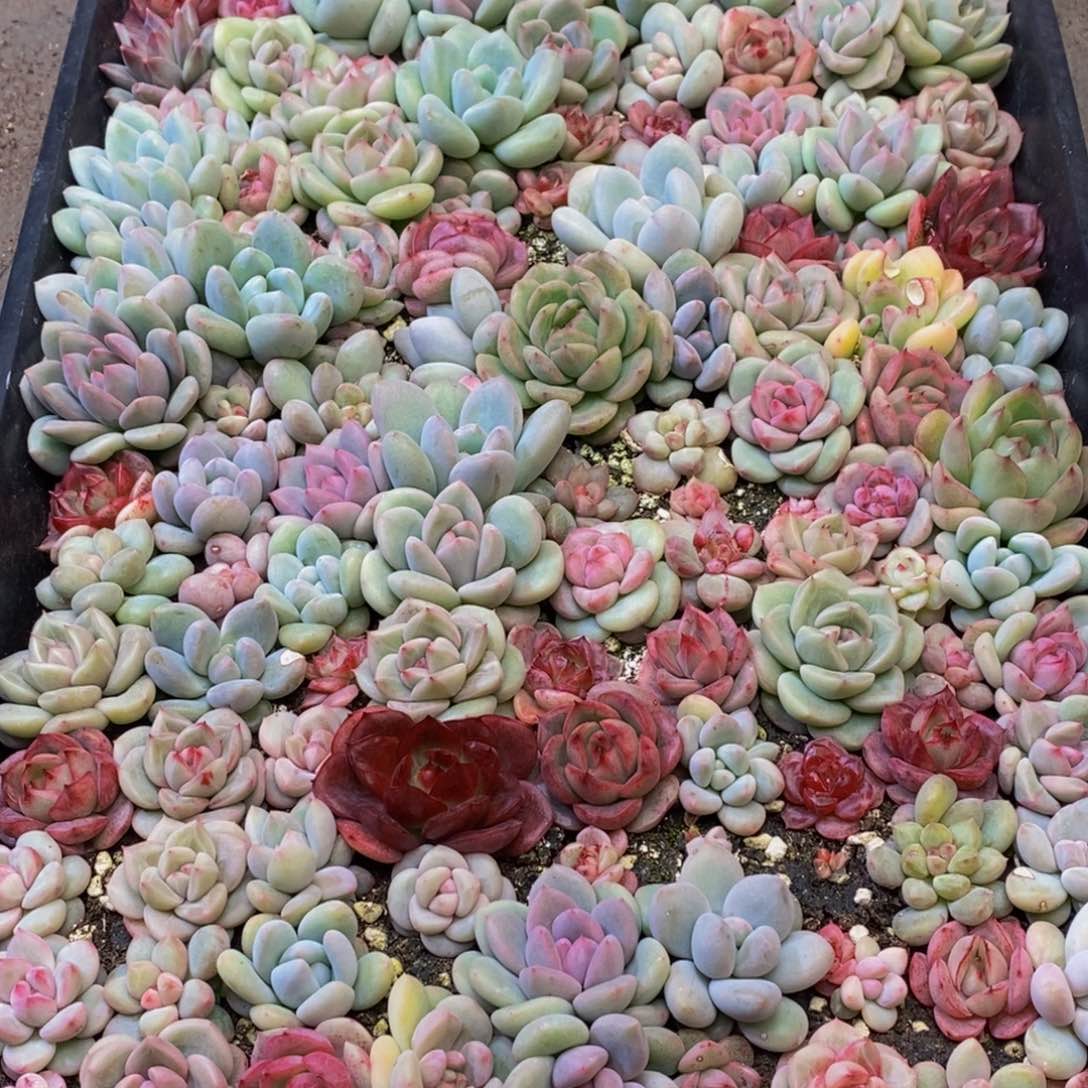 艳*690多人在一起的时候我