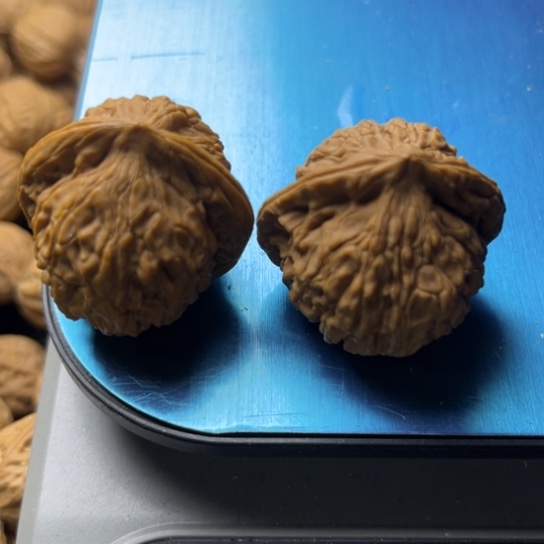 6***6银S9251234567890