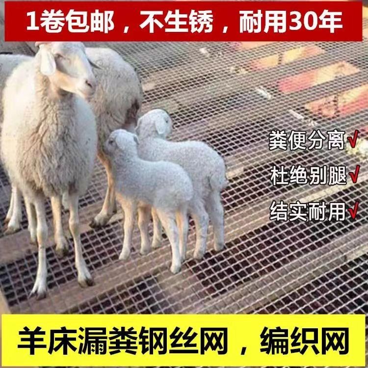 厂家直销热镀钢网羊床网铁丝养鸡鸭鹅漏粪围栏网钢丝批发铁丝网