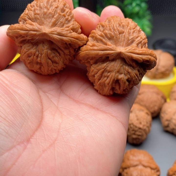 文玩核桃把件白狮子