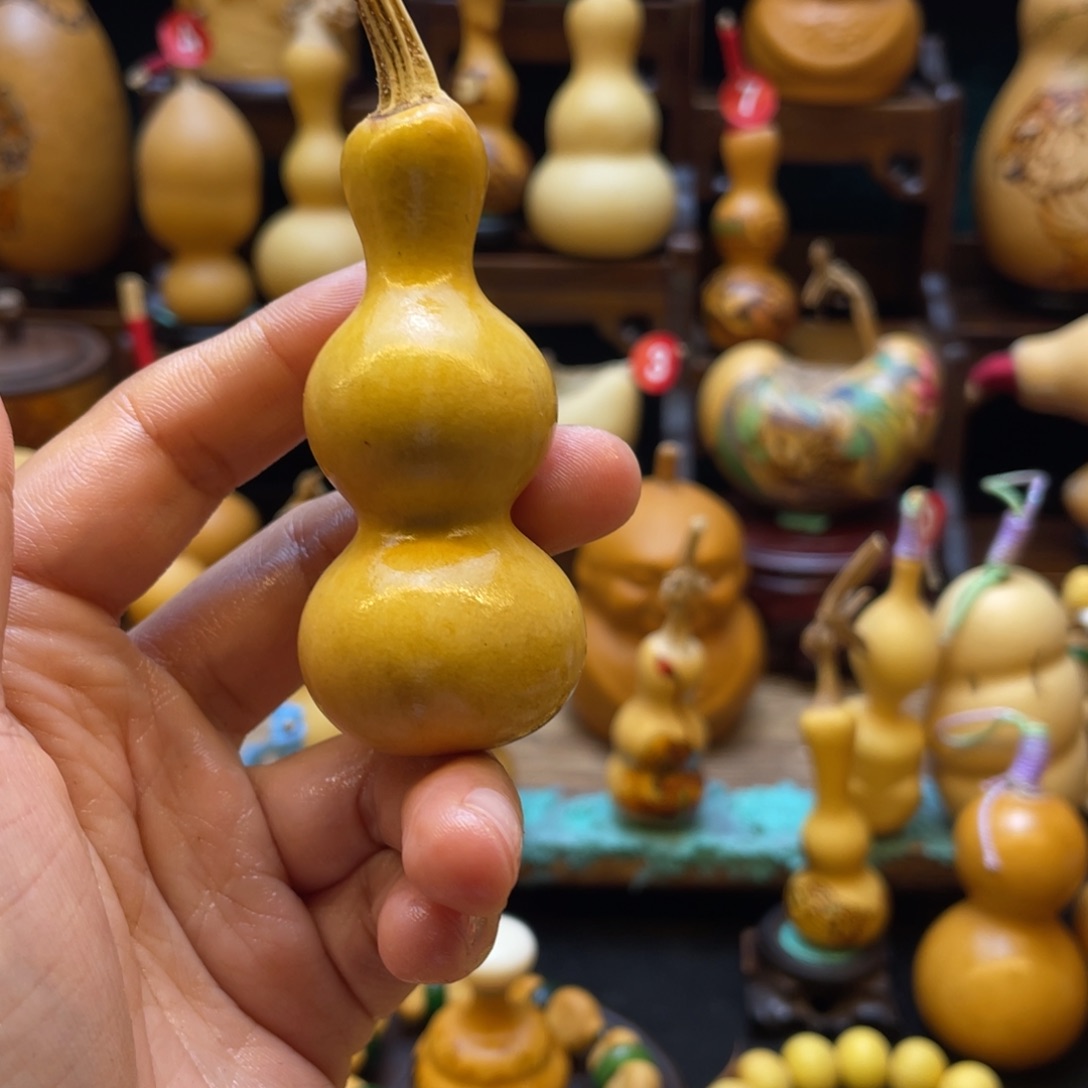 春****L葫芦等经济作物的栽培技术研究与