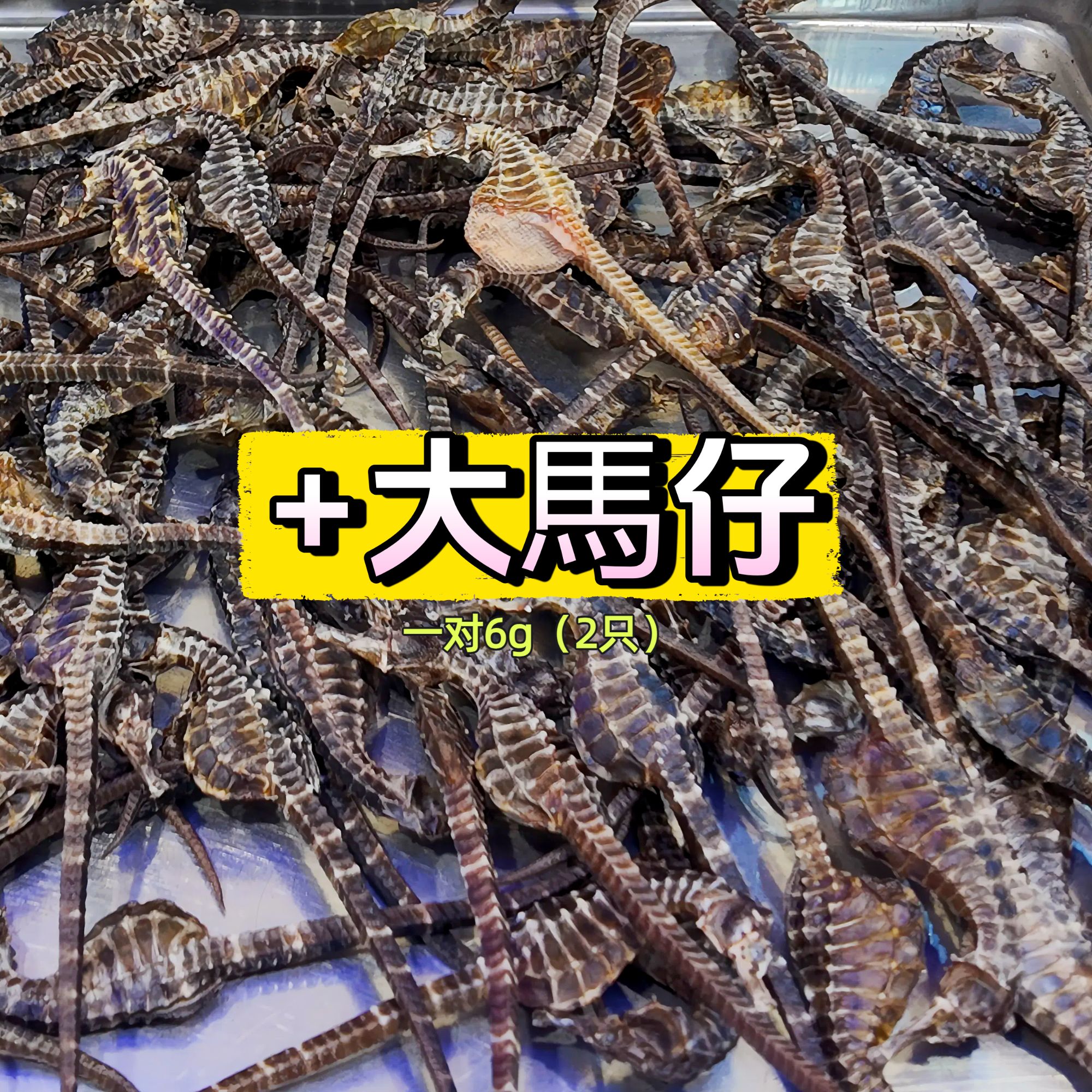 【正品】碧水绅蓝 海干货馬马仔一对2只（单只3g*2）【大大个头】泡酒