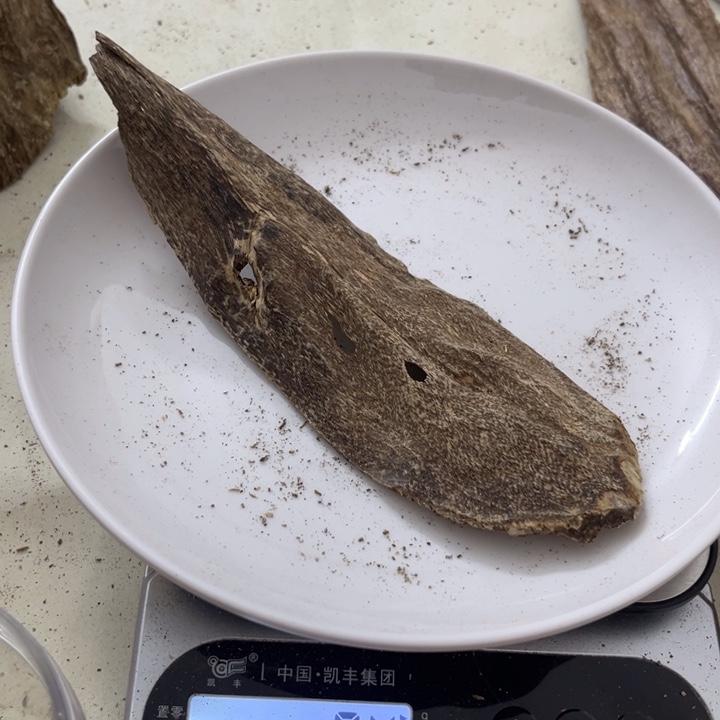 沉香木摆件海南壳子9克