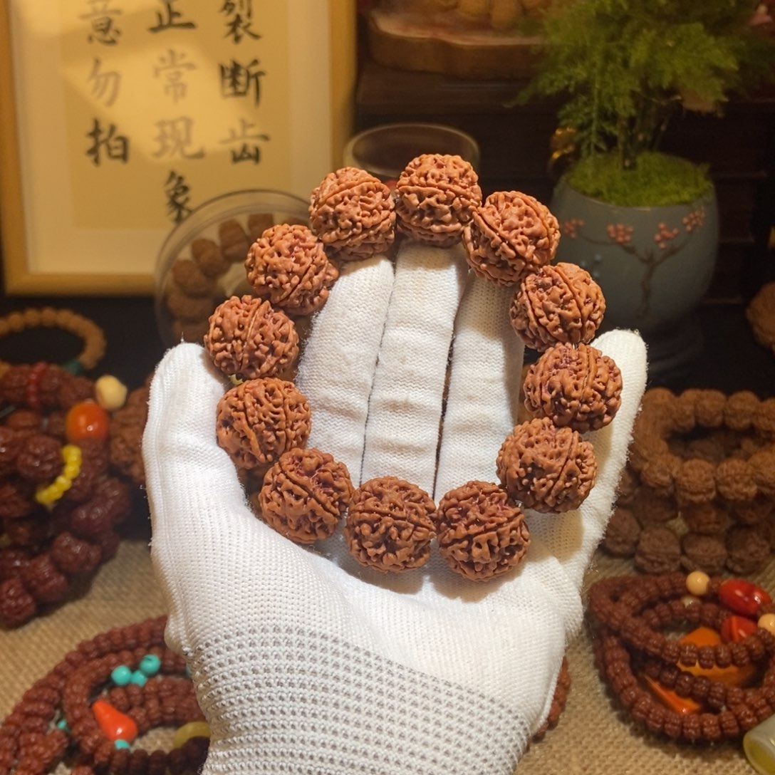 金刚菩提吊坠236原籽