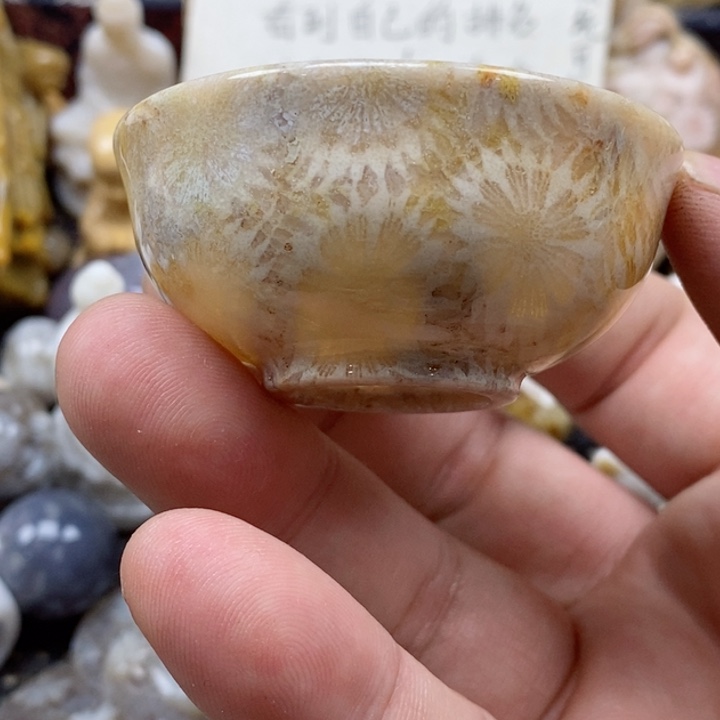 颈饰未镶嵌硅化珊瑚（珊瑚玉）