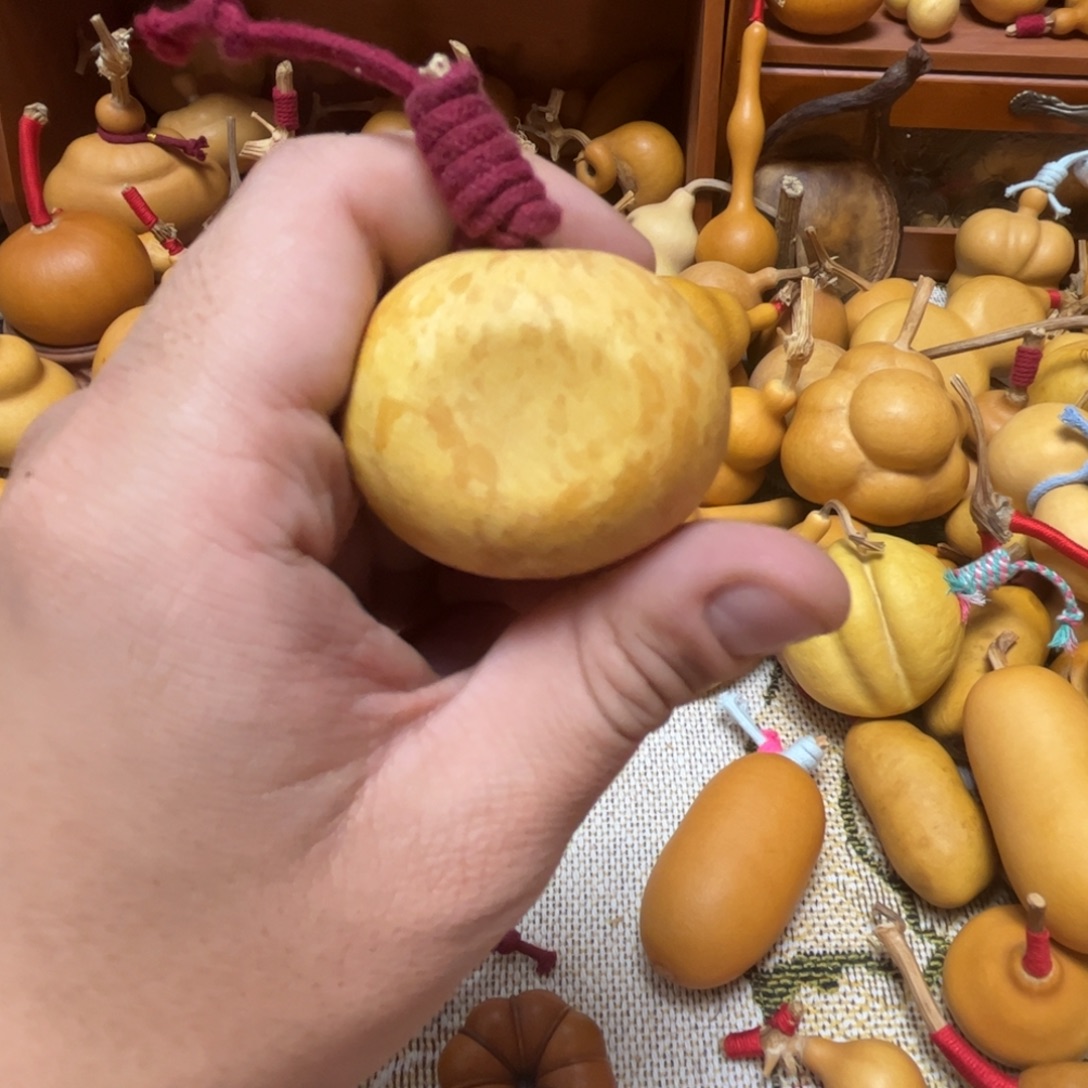 ～***з葫芦花叶扁电视机