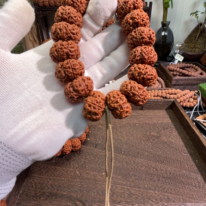 快***桶手串金刚菩提夹板