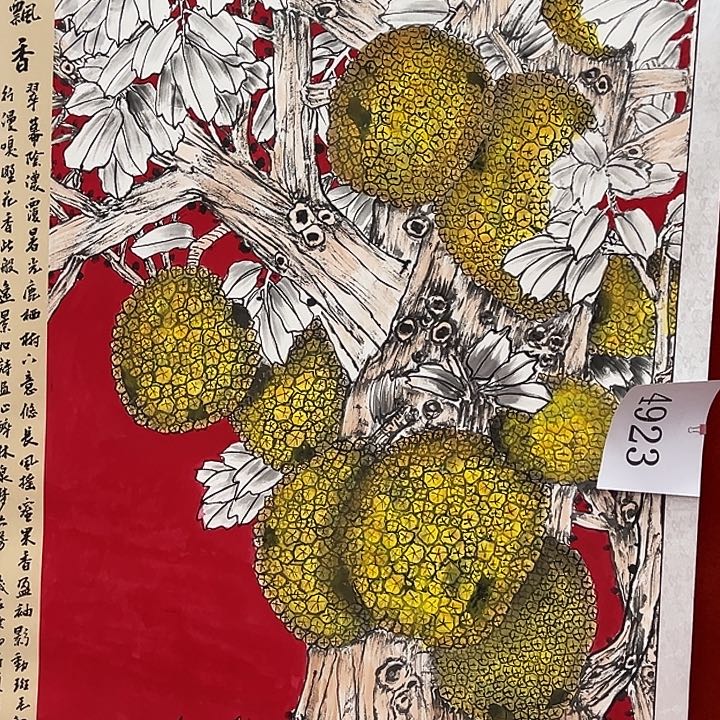 新号开播时间每周更新