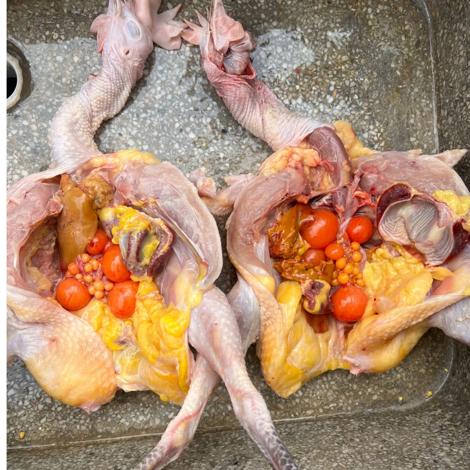 【活鸡现杀】2只 皖南老母鸡下蛋鸡 每只杀好约2.5斤冰鲜发货  