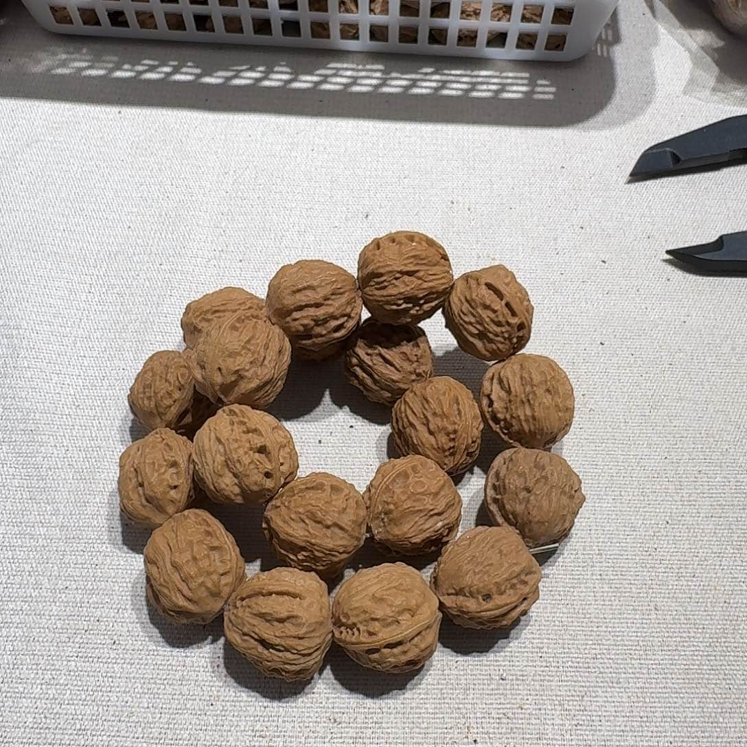 核桃手串/手链138号边22手持