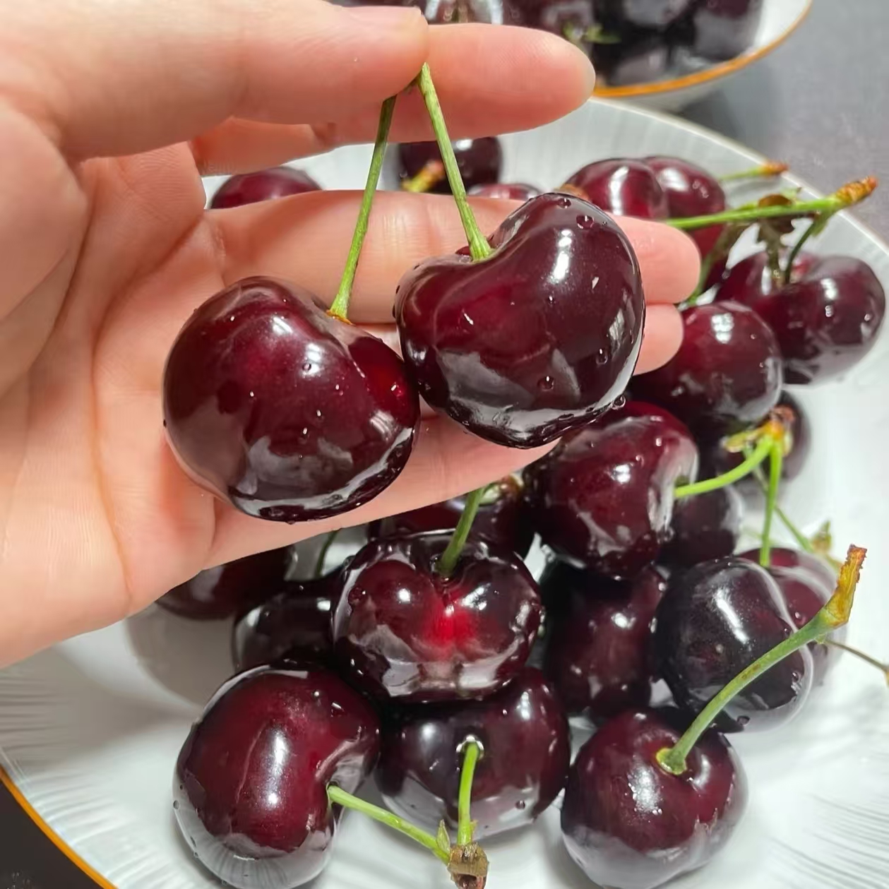 【顺丰】2JDD智利海运桑提娜车厘子5斤原箱内附果径卡（江浙沪皖）