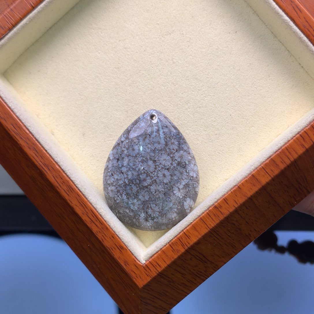 硅化珊瑚（珊瑚玉）颈饰未镶嵌微骨骼